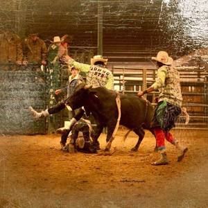 Meet your Posher, Johnny